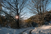 44 baciati dal sole...